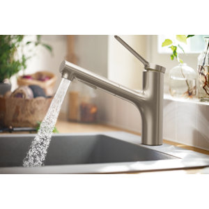 Hansgrohe Zesis Pull Out Kitchen Faucet & Reviews | Wayfair